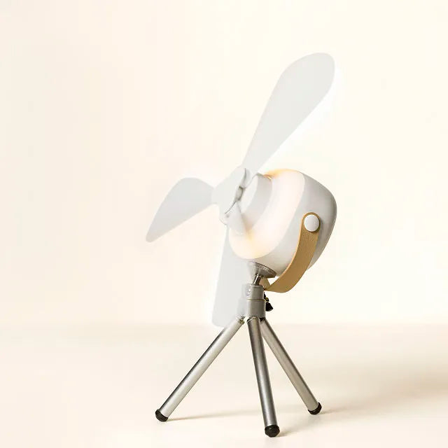 Lightweight Three-Blade Fan with Portable Design and Adjustable Speed