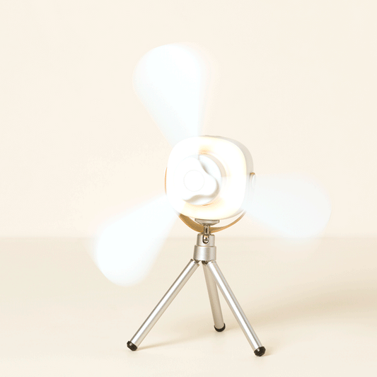 Lightweight Three-Blade Fan with Portable Design and Adjustable Speed
