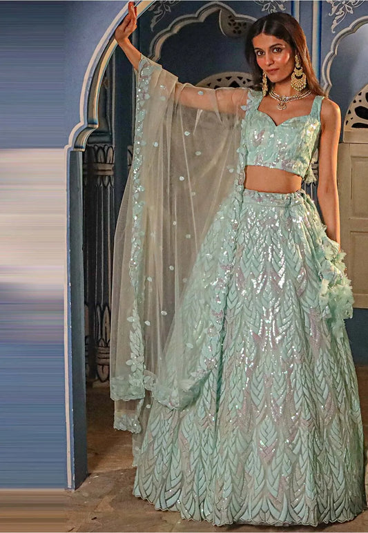 Pastel Blue Net Lehenga Choli with Designer Embroidery Detailing