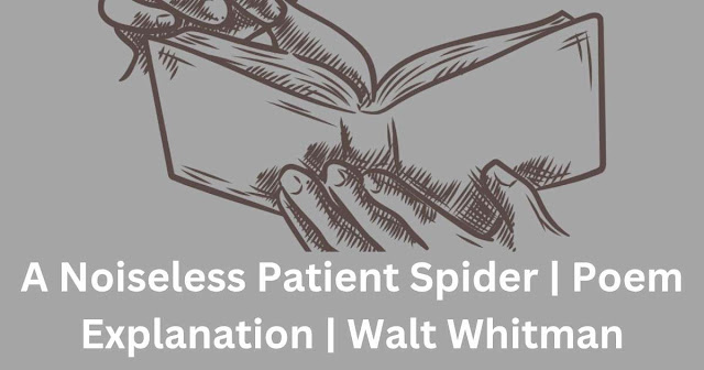 a noiseless patient spider poem